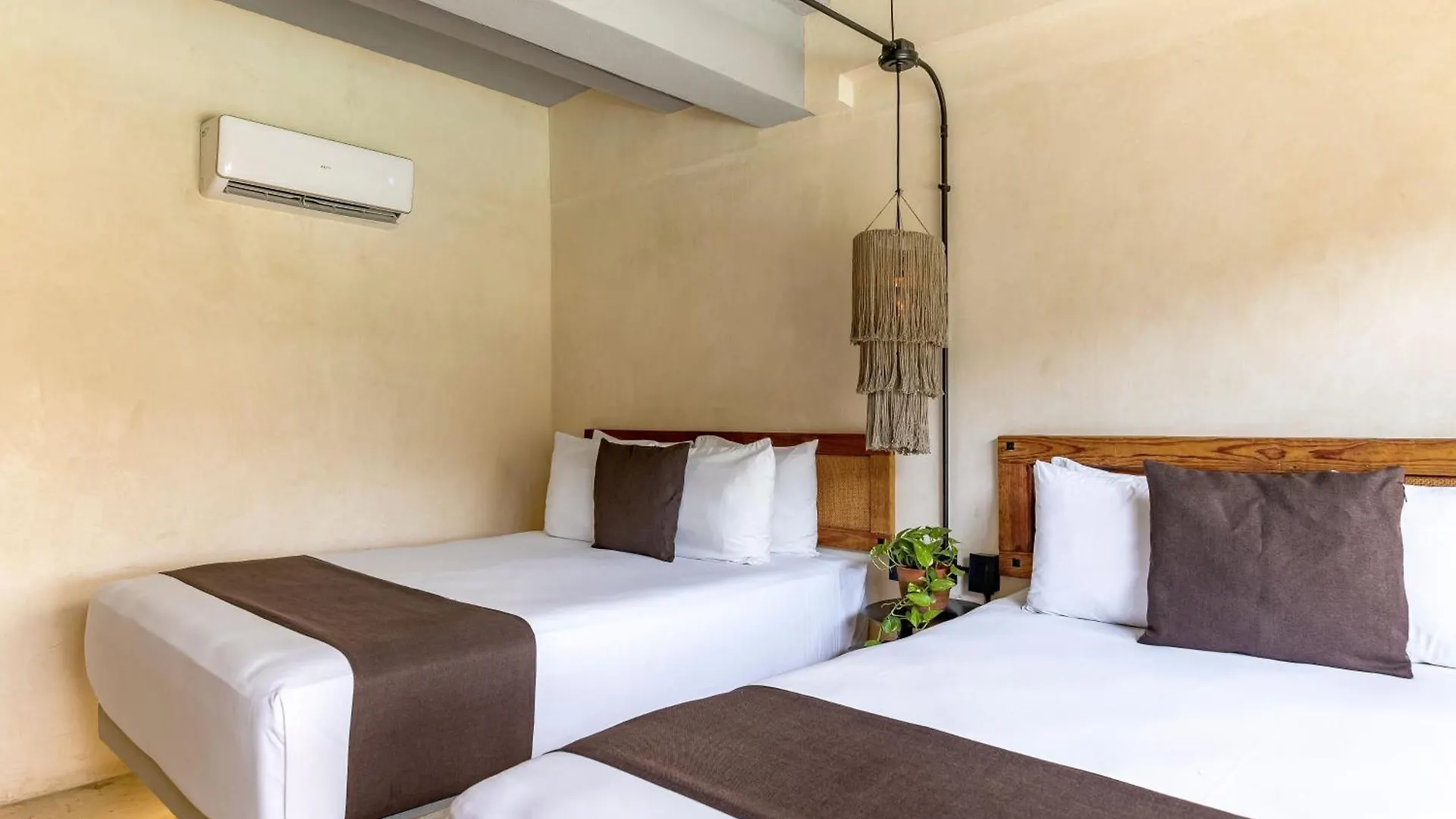 פלאייה דל כרמן Caribbean Paradise Hotel & Spa - 5Th Avenue מקסיקו