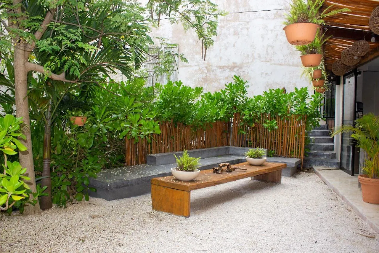 Caribbean Paradise Hotel & Spa - 5Th Avenue Playa del Carmen Mexiko